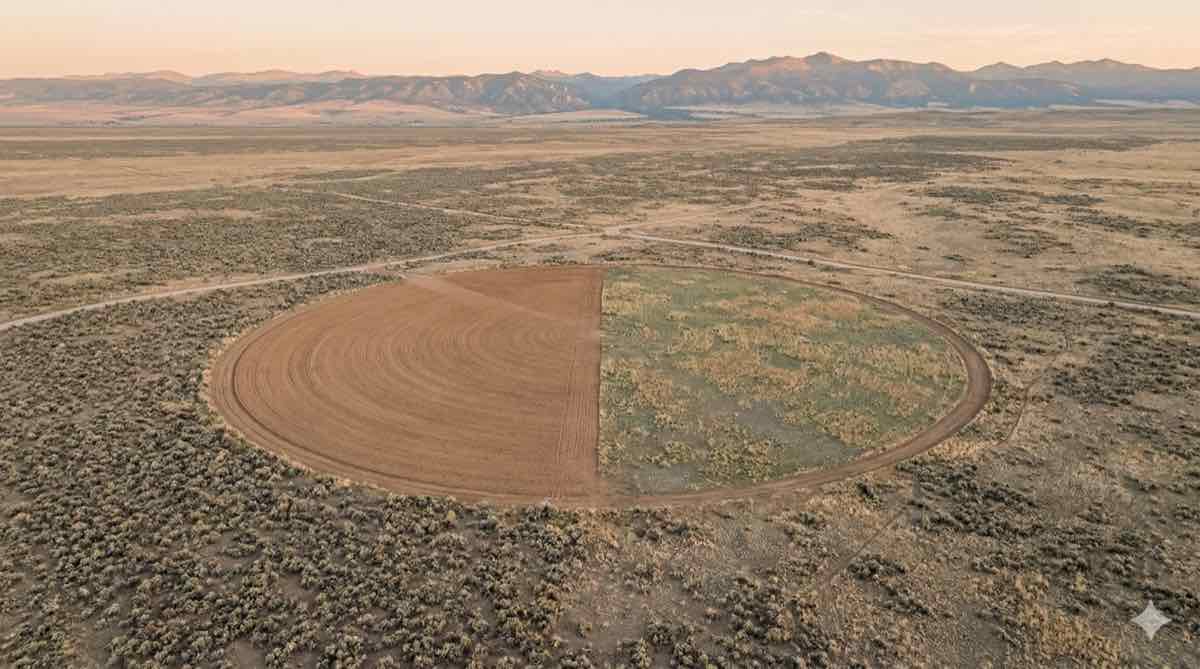 Aerial view of circular revegetation plot in desert landscape