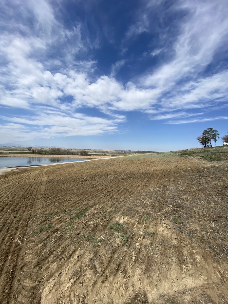 Johnstown Golf Course Revegetation photo 10
