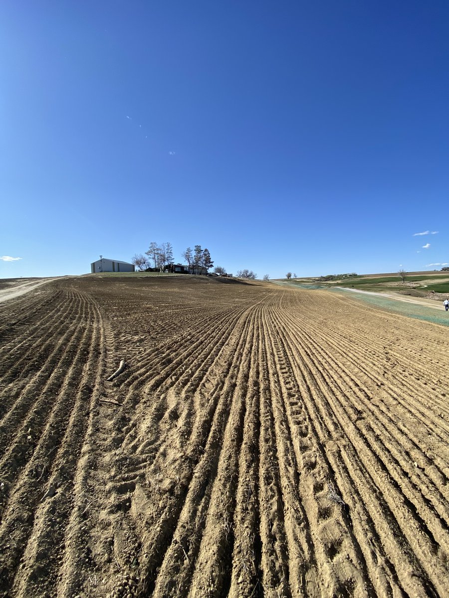 Johnstown Golf Course Revegetation photo 11