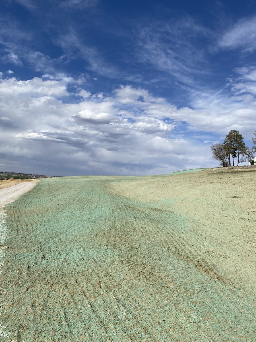 Johnstown Golf Course Revegetation photo 14