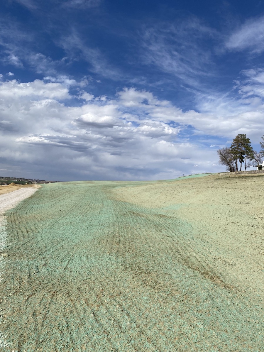 Johnstown Golf Course Revegetation photo 5
